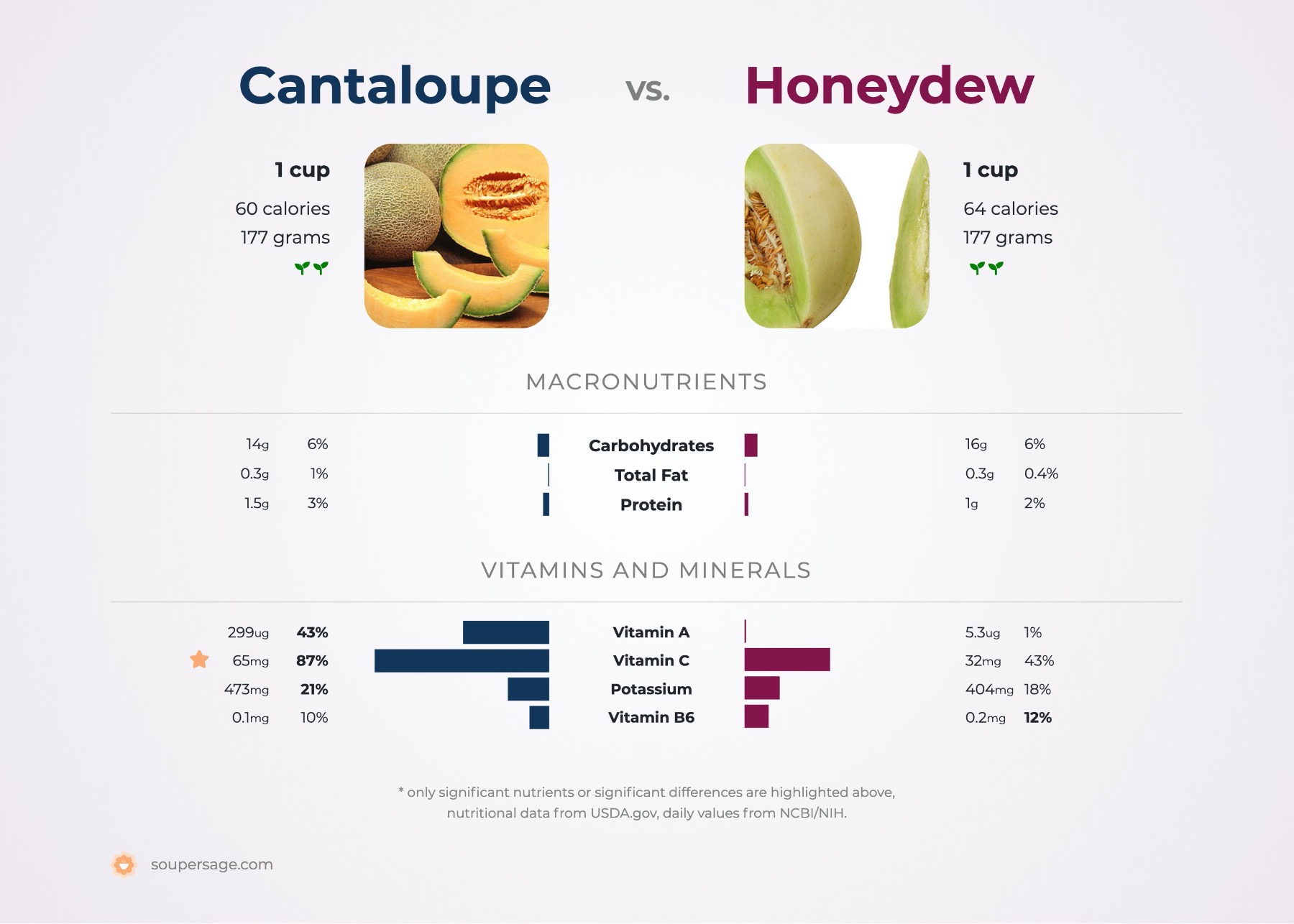 Honeydew Melon Recipe & Nutrition - Precision Nutrition's