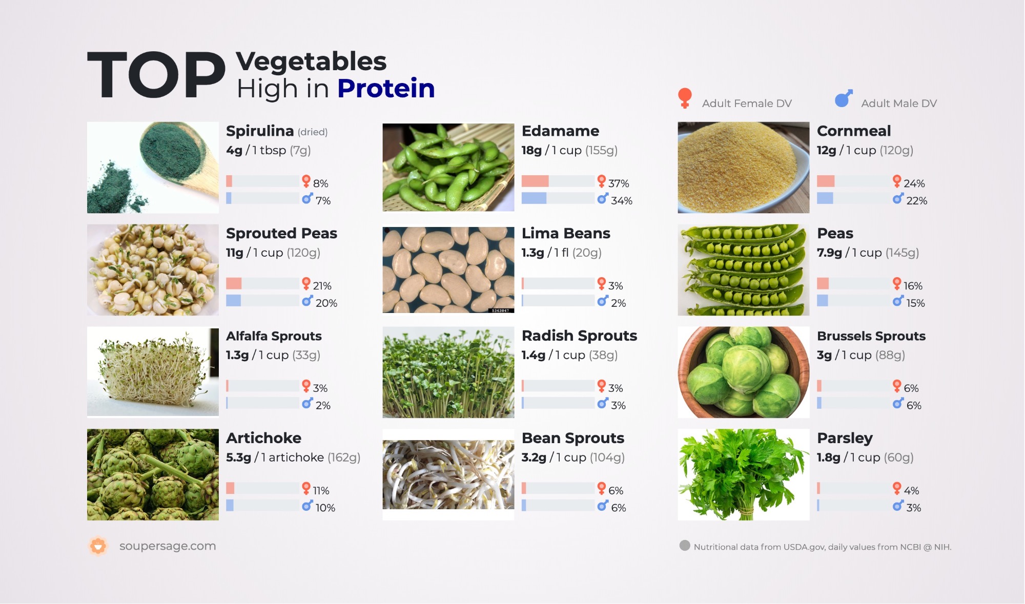 Top Vegetables High In Protein